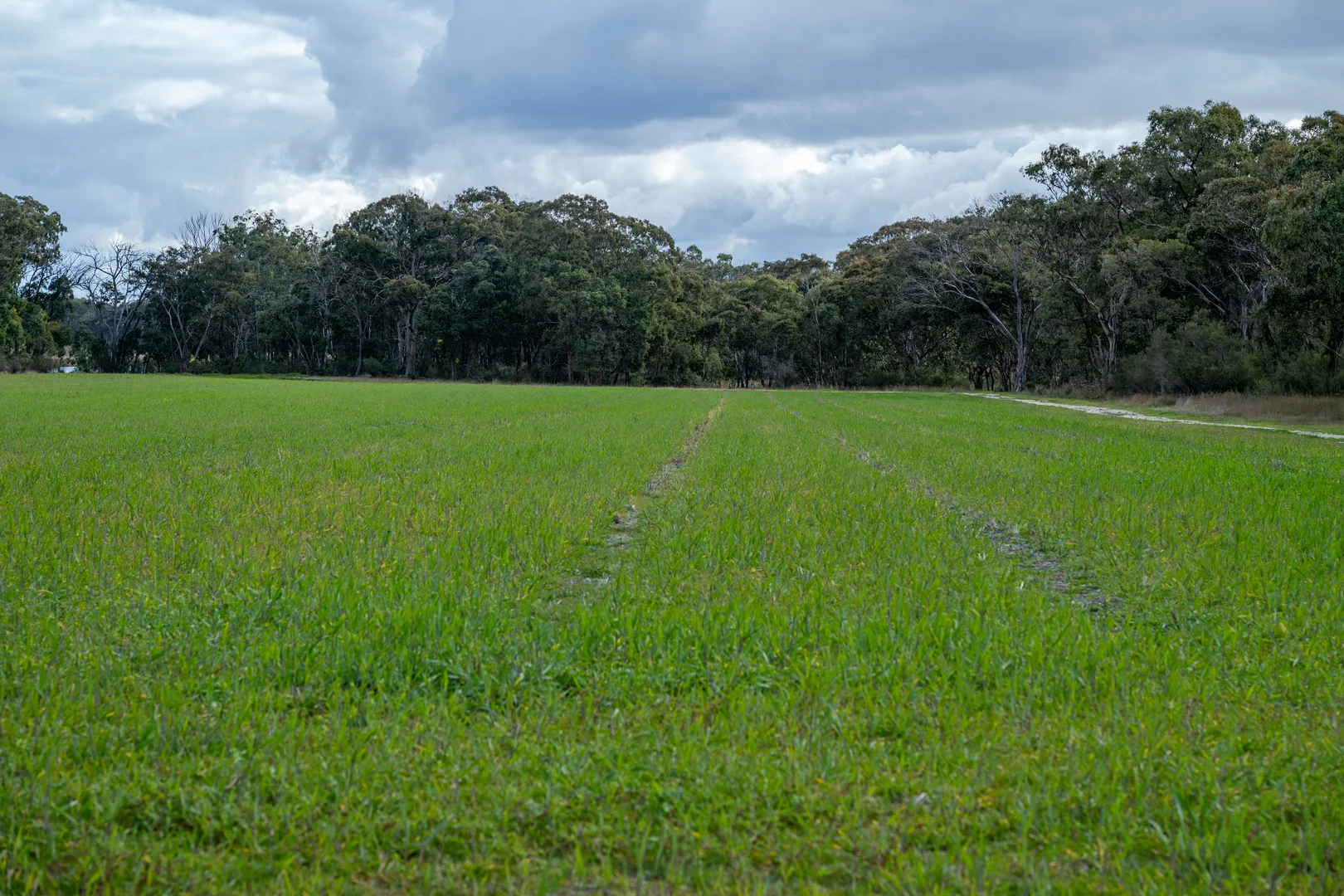 Additional image 8 of 846 Nundubbermere Road, Nundubbermere QLD 4380