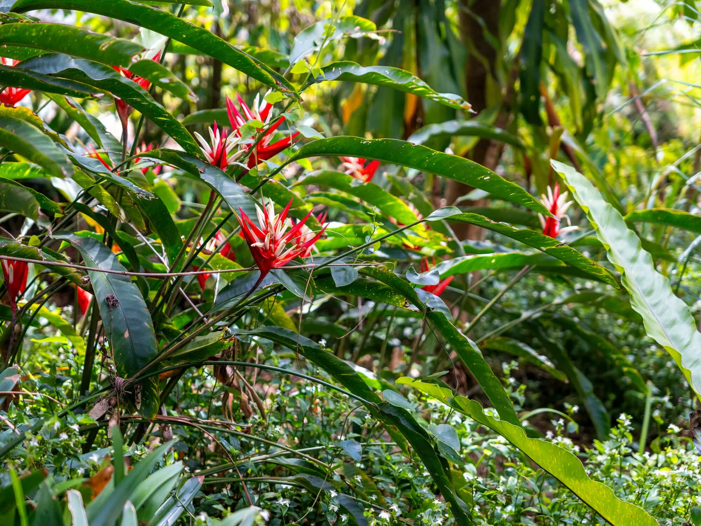 Additional image 27 of 25-27 Riverview Ave, Dangar Island NSW 2083