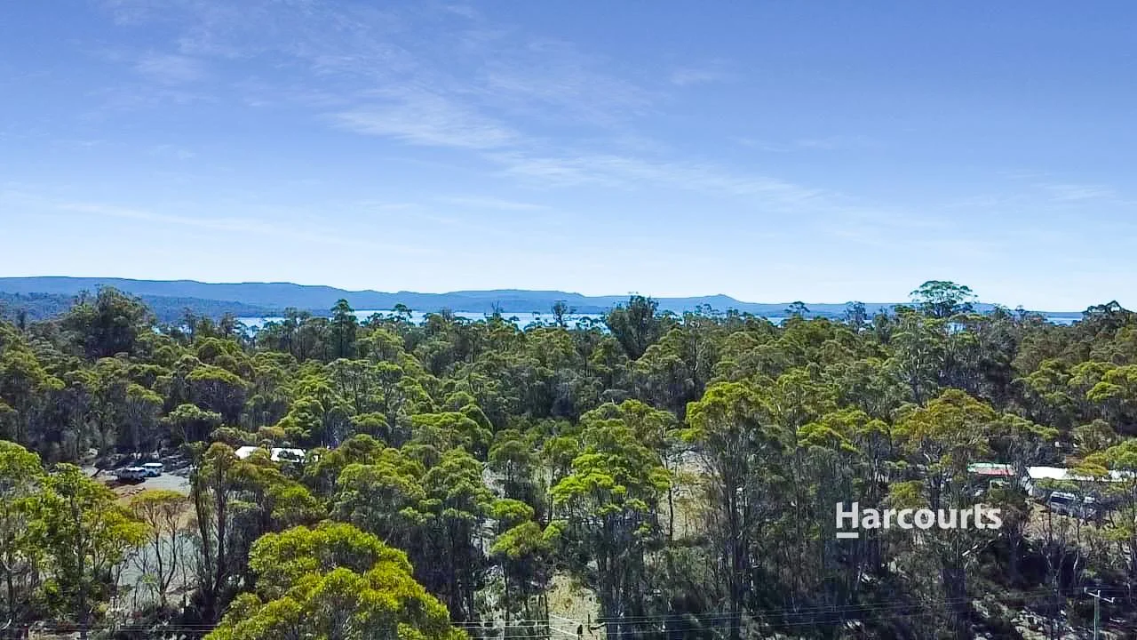 Additional image 8 of 711 Arthurs Lake Road, Arthurs Lake TAS 7030