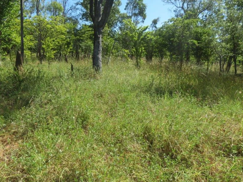 Additional image 14 of Van Lee Station, Mount Surprise QLD 4871