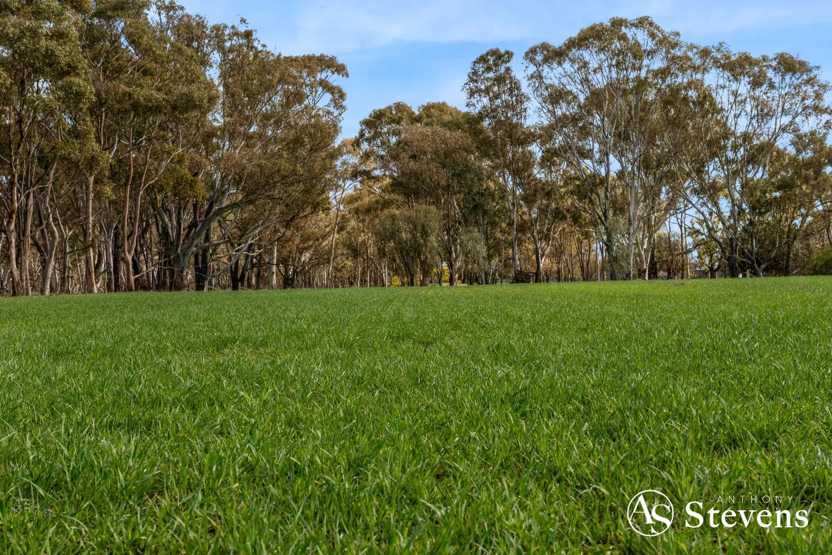 Additional image 32 of 499 Old Wedderburn Road, Slaty Creek VIC 3477