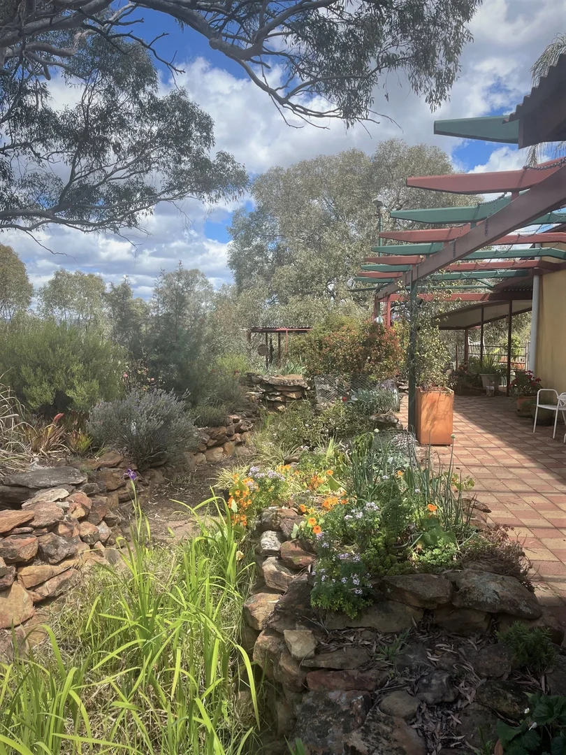 Additional image 28 of 4655 Baradine Road, Coonabarabran NSW 2357