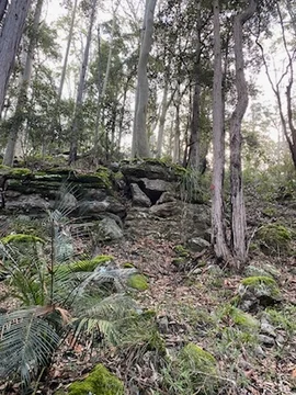 Additional image 17 of 52A Lilly Pilly Lane, Tapitallee NSW 2540