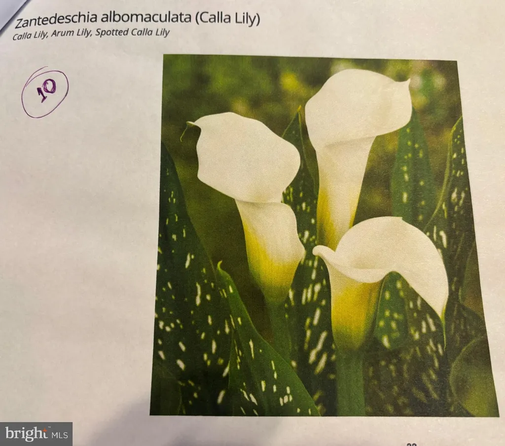 Additional image 57 of 6 Bradley Circle, Middletown, DE 19709