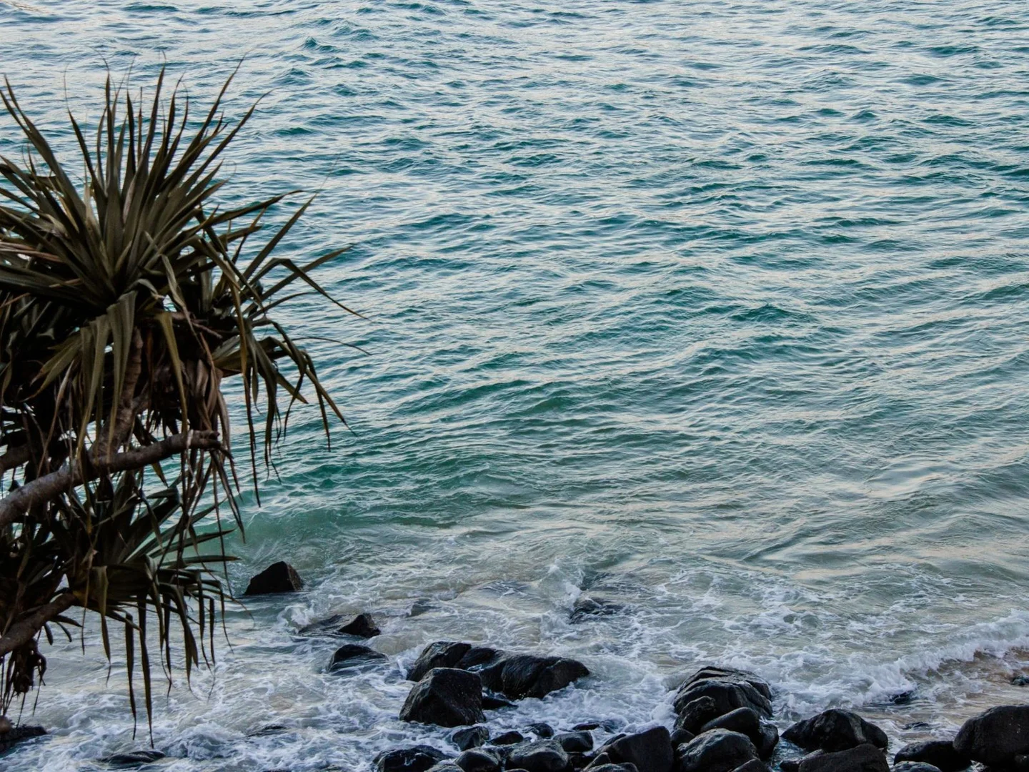 Additional image 16 of 382 Cypress Terrace North, Palm Beach QLD 4221