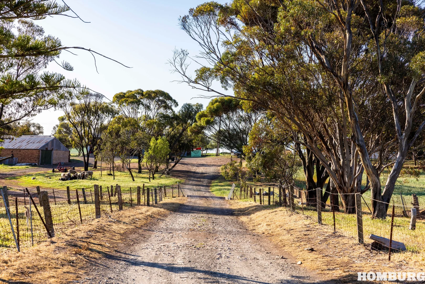 Additional image 25 of 275 Peltz Road, Bethel SA 5373