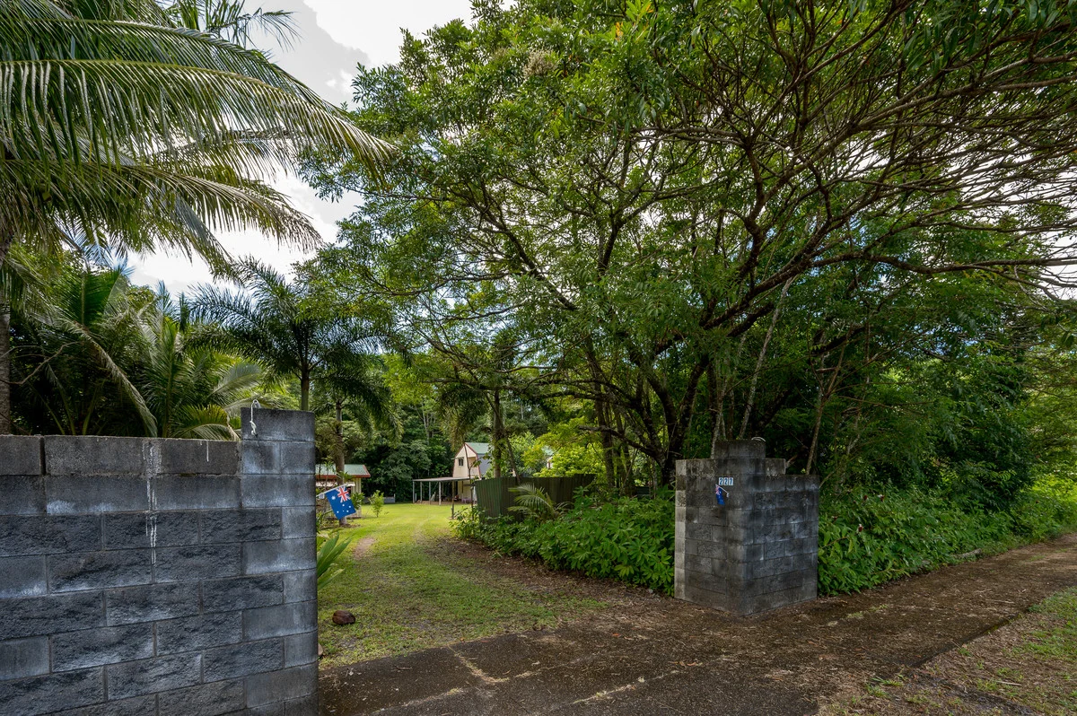 Additional image 5 of 227 Buchanan Creek Road, Cow Bay QLD 4873