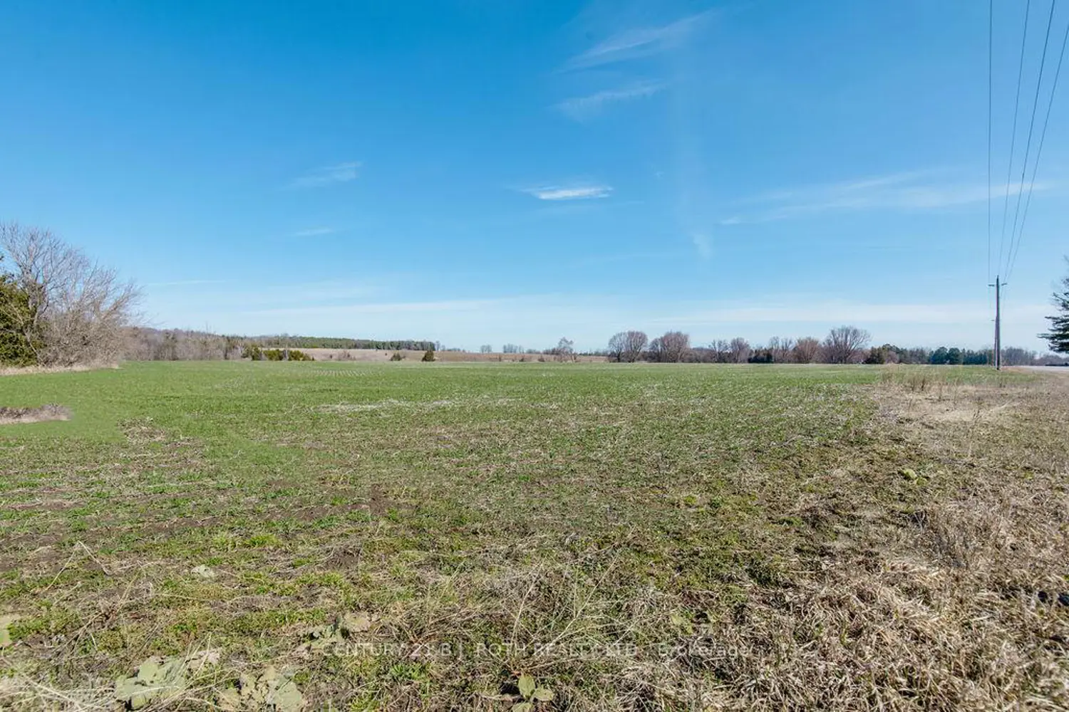 Additional image 15 of 7468 25Th Side Road