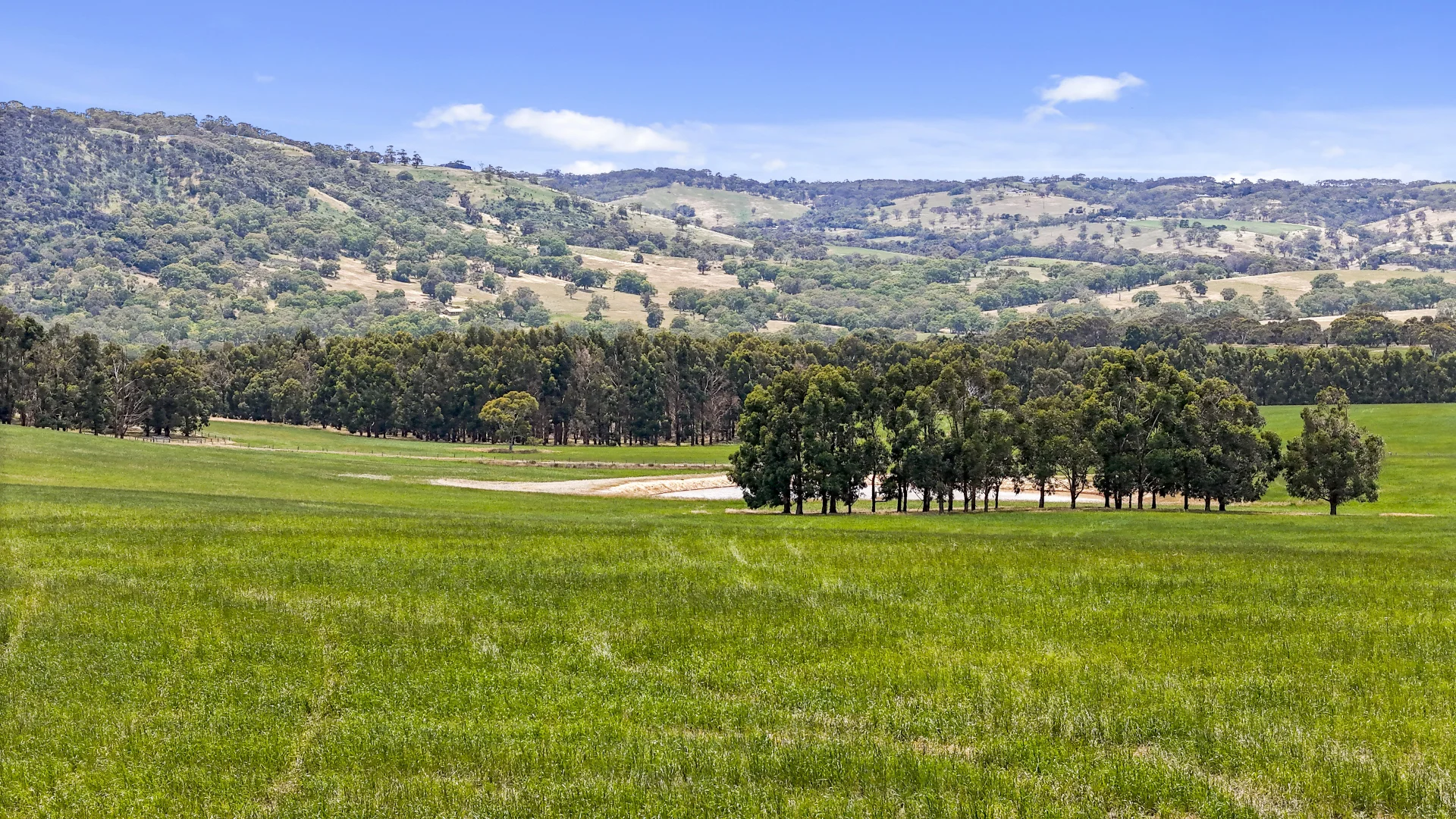 Additional image 33 of 228 Hutchinson Road, Hindmarsh Valley SA 5211