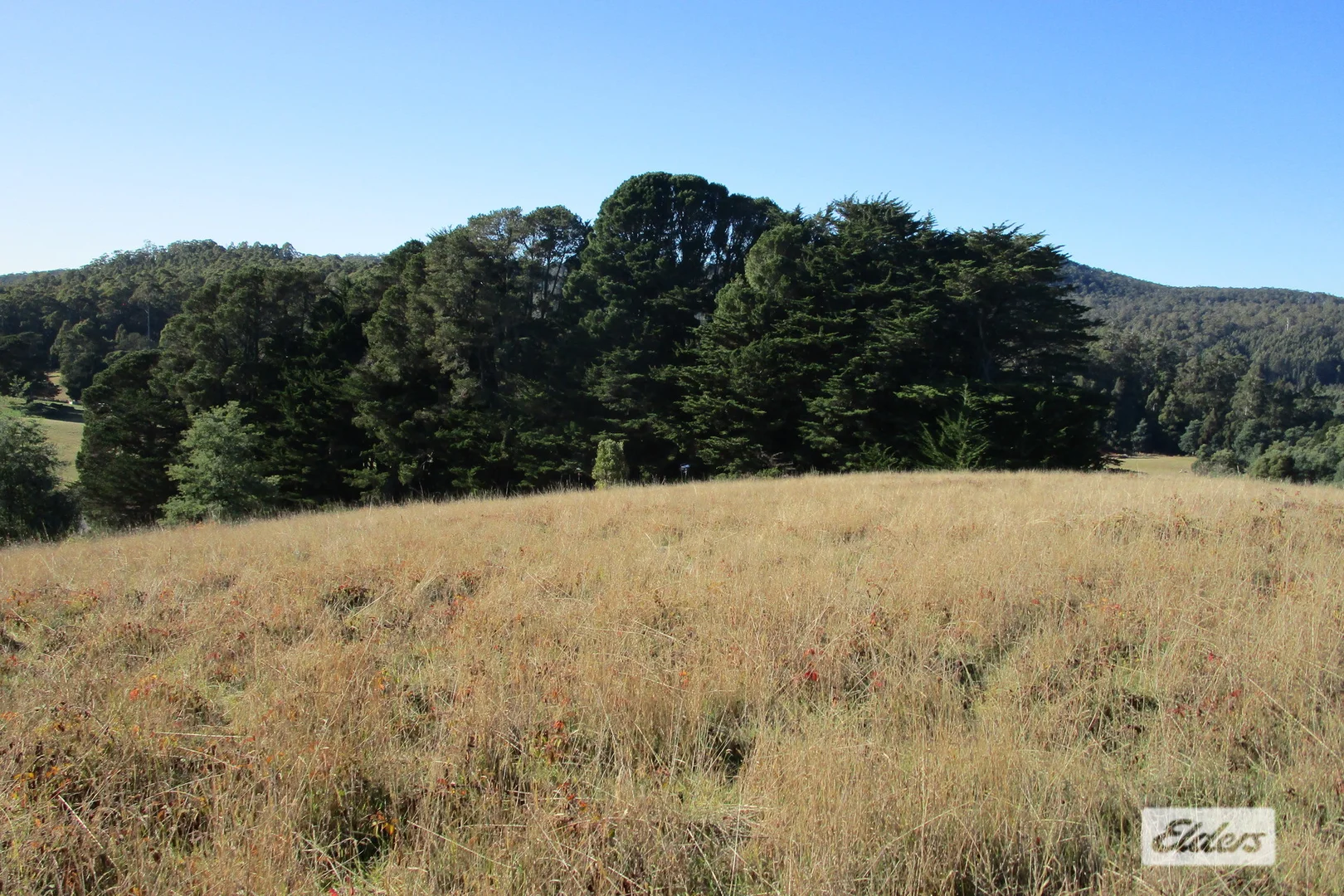 Additional image 5 of 1951 Wilmot Road, Lower Wilmot TAS 7310