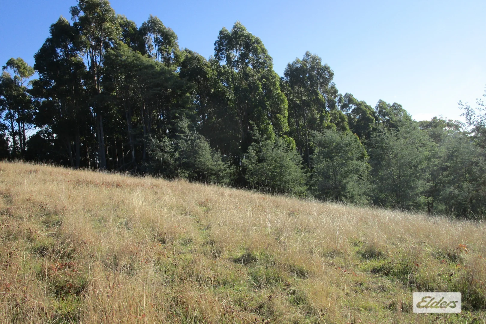 Additional image 4 of 1951 Wilmot Road, Lower Wilmot TAS 7310