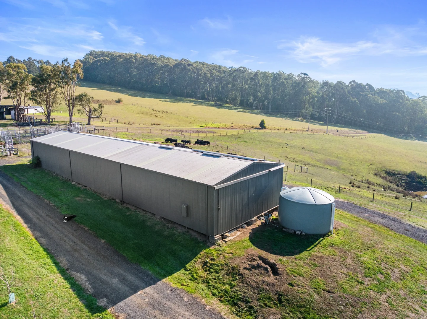 Additional image 16 of 245 Markleys Road, Mirboo North VIC 3871