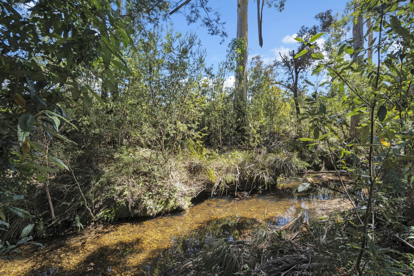 Additional image 6 of 73 Aldridge Street, York Town TAS 7270