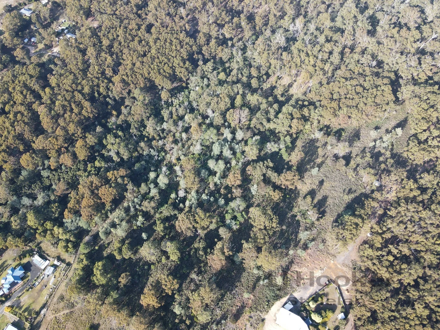 Additional image 15 of 35a Falmouth Street, St Helens TAS 7216