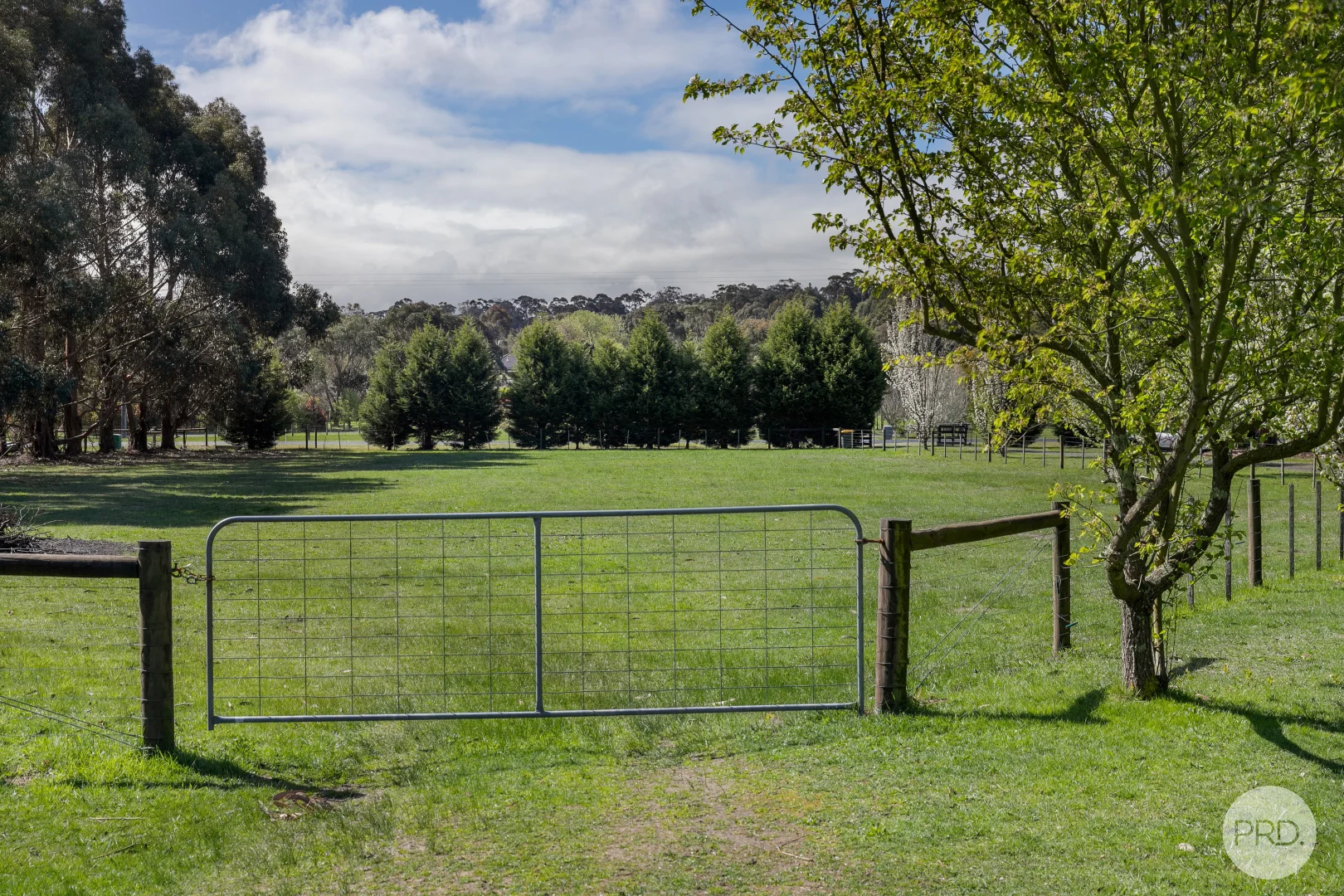 Additional image 18 of 130 White Swan Road, Invermay VIC 3352