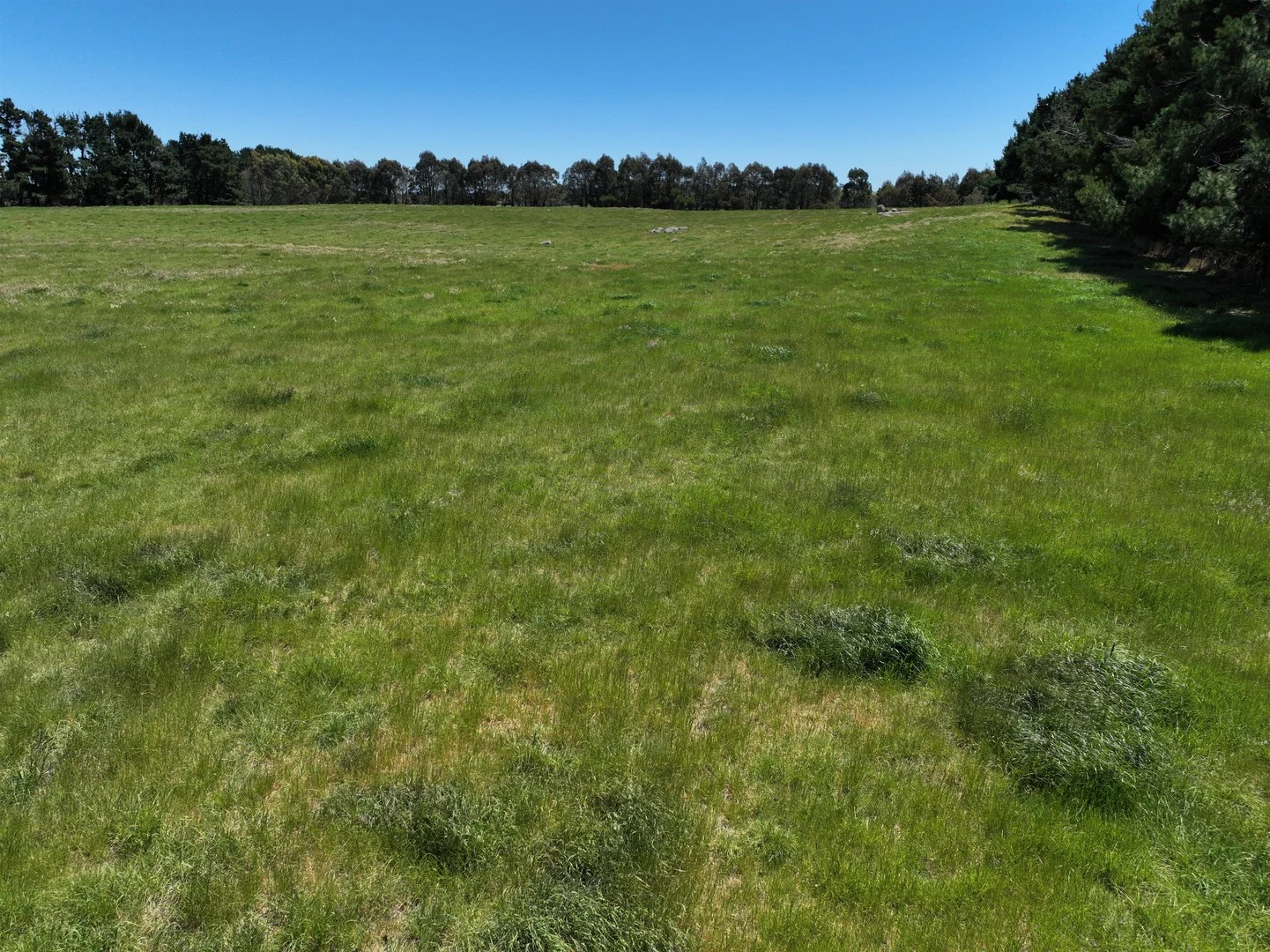 Lot 1 Mount Rae Road, Roslyn, Crookwell NSW 2583