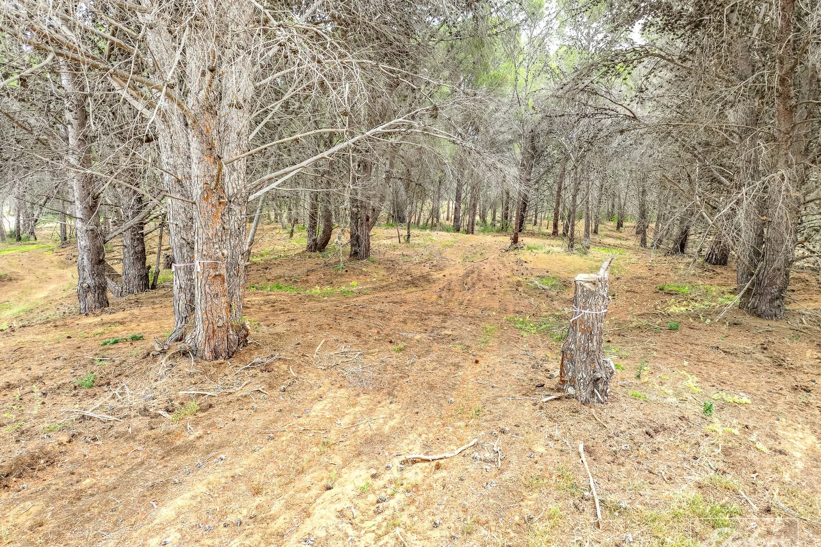 Additional image 8 of Lot 20&22 Randell Road, Hindmarsh Island SA 5214