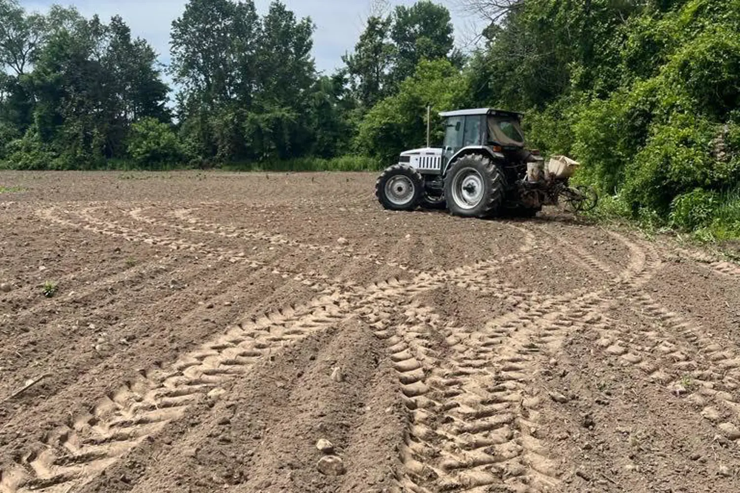 Additional image 3 of 2851 Church Street