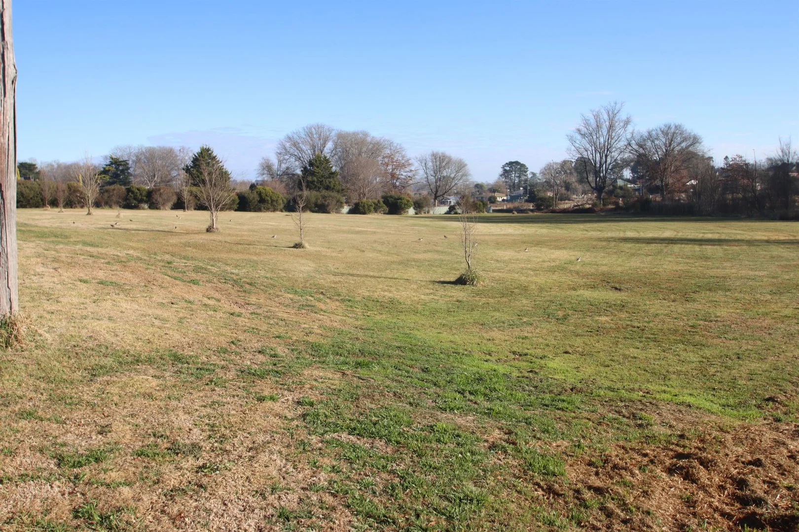 Additional image 4 of Lot 1 Clarence Street, Tenterfield NSW 2372