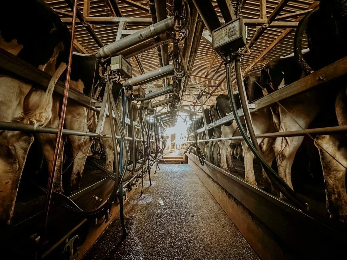 Additional image 6 of 2896 Murray Valley Highway, Yielima VIC 3638