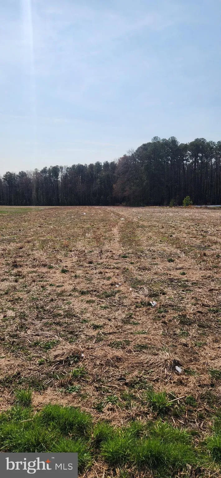 Additional image 7 of Lot 1 Pepperbox Road, Laurel, DE 19956