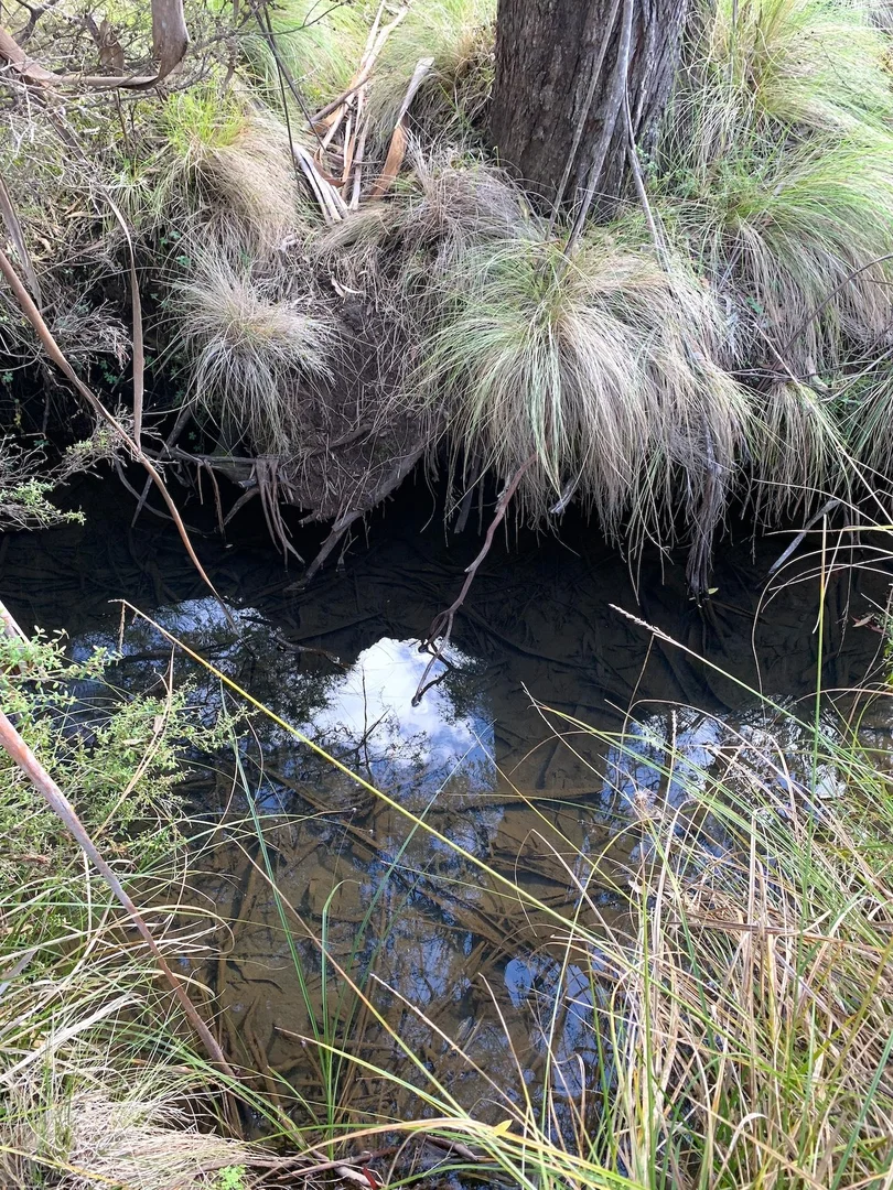 Additional image 6 of Hanging Rock NSW 2340