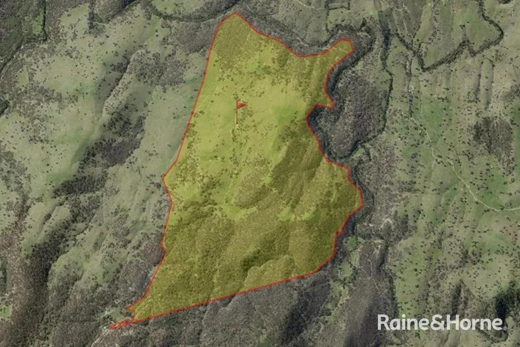 Additional image 30 of 260 & 262 Alpha Road, Tambaroora NSW 2850