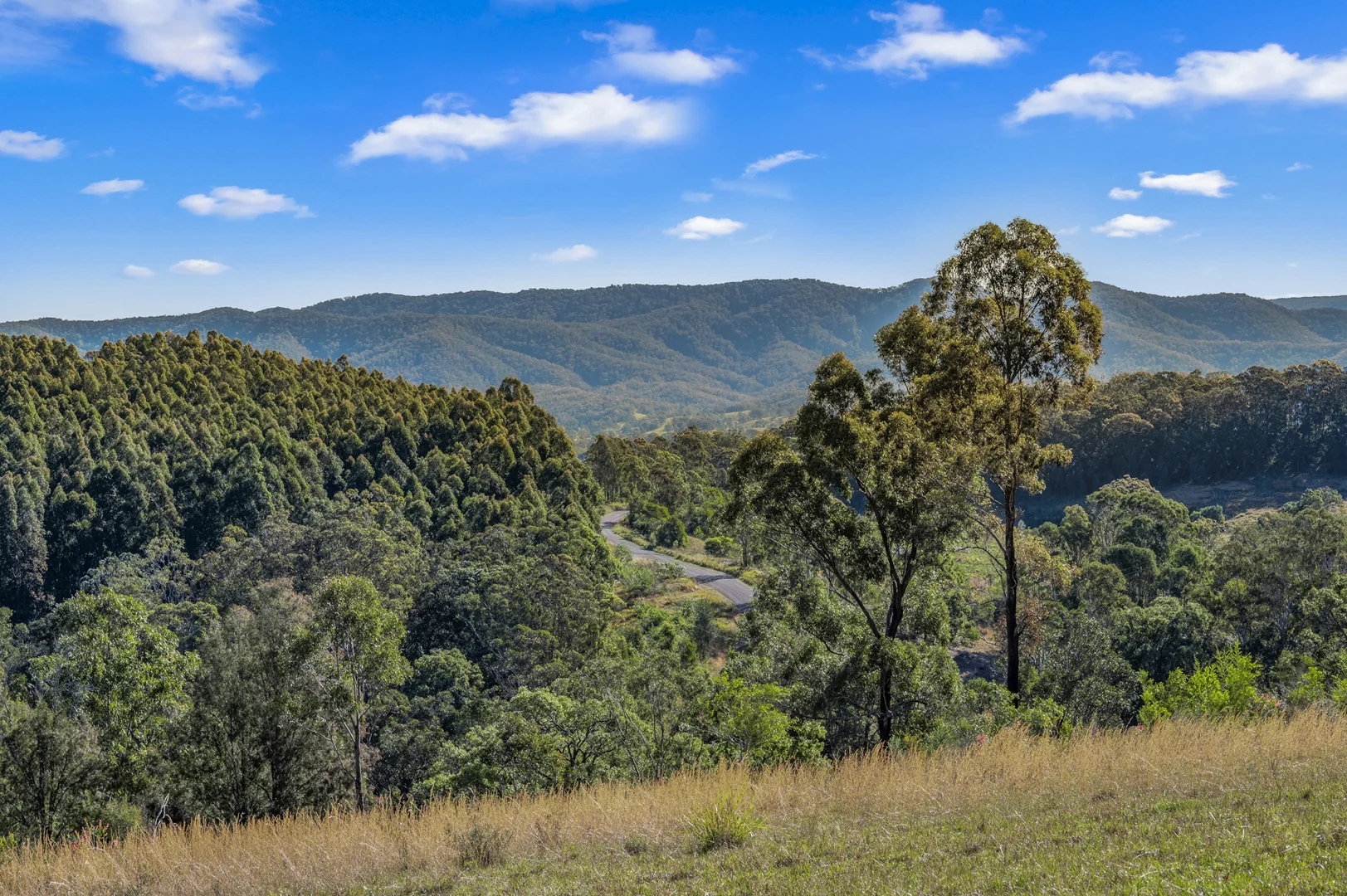 Additional image 16 of 345 Glen Road, Craven NSW 2422