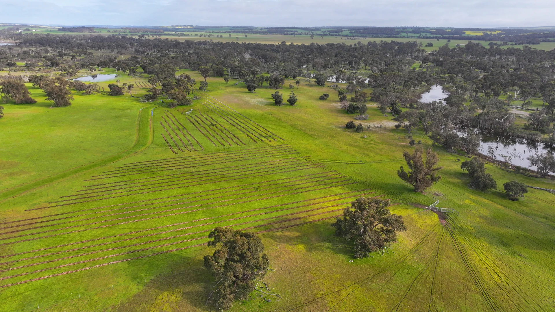 Additional image 16 of 331 Clitchbury Road, Frankland River WA 6396