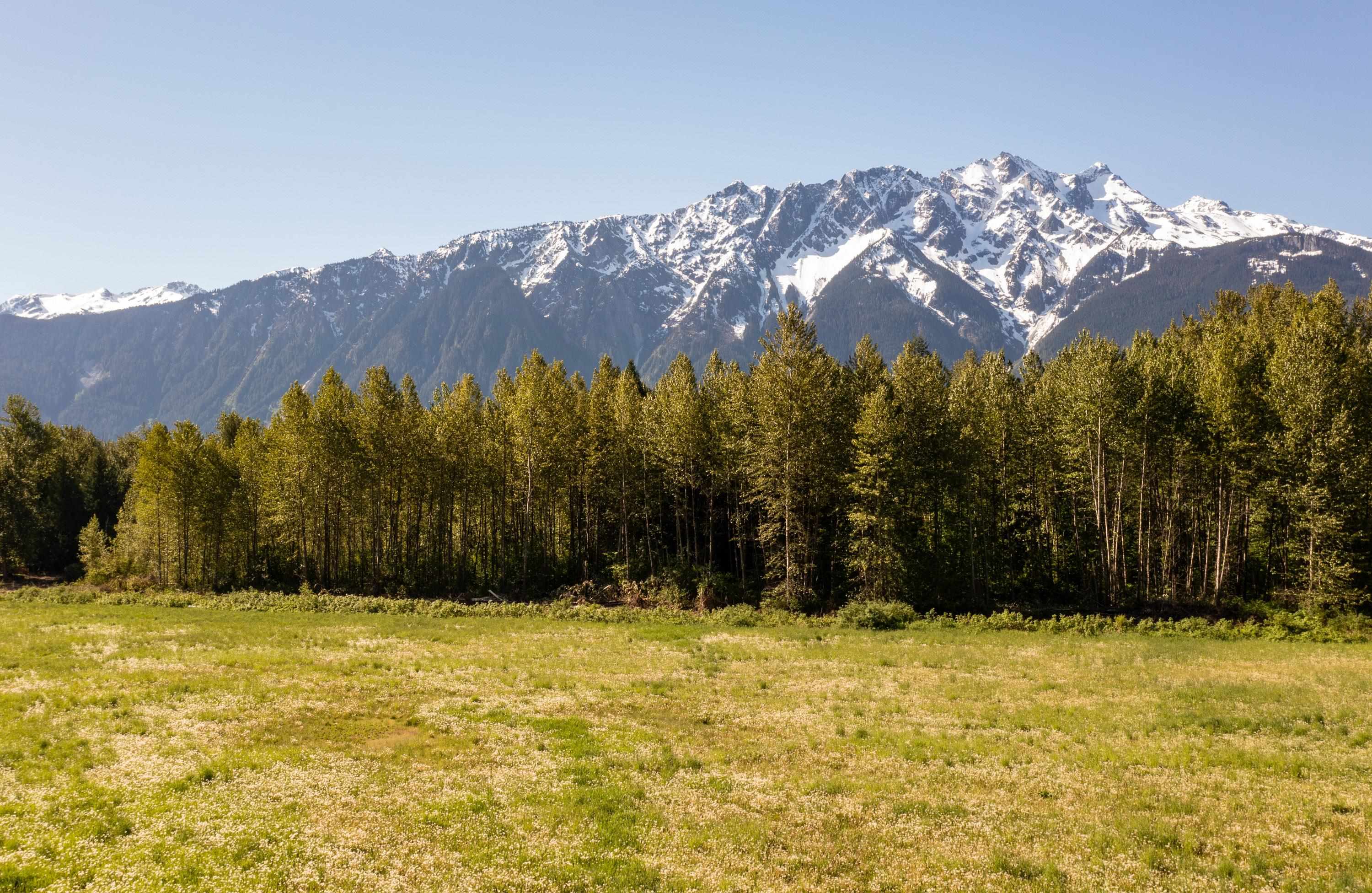 LOT 1 Pemberton Farm Road, Pemberton, BC, V0N 2L0