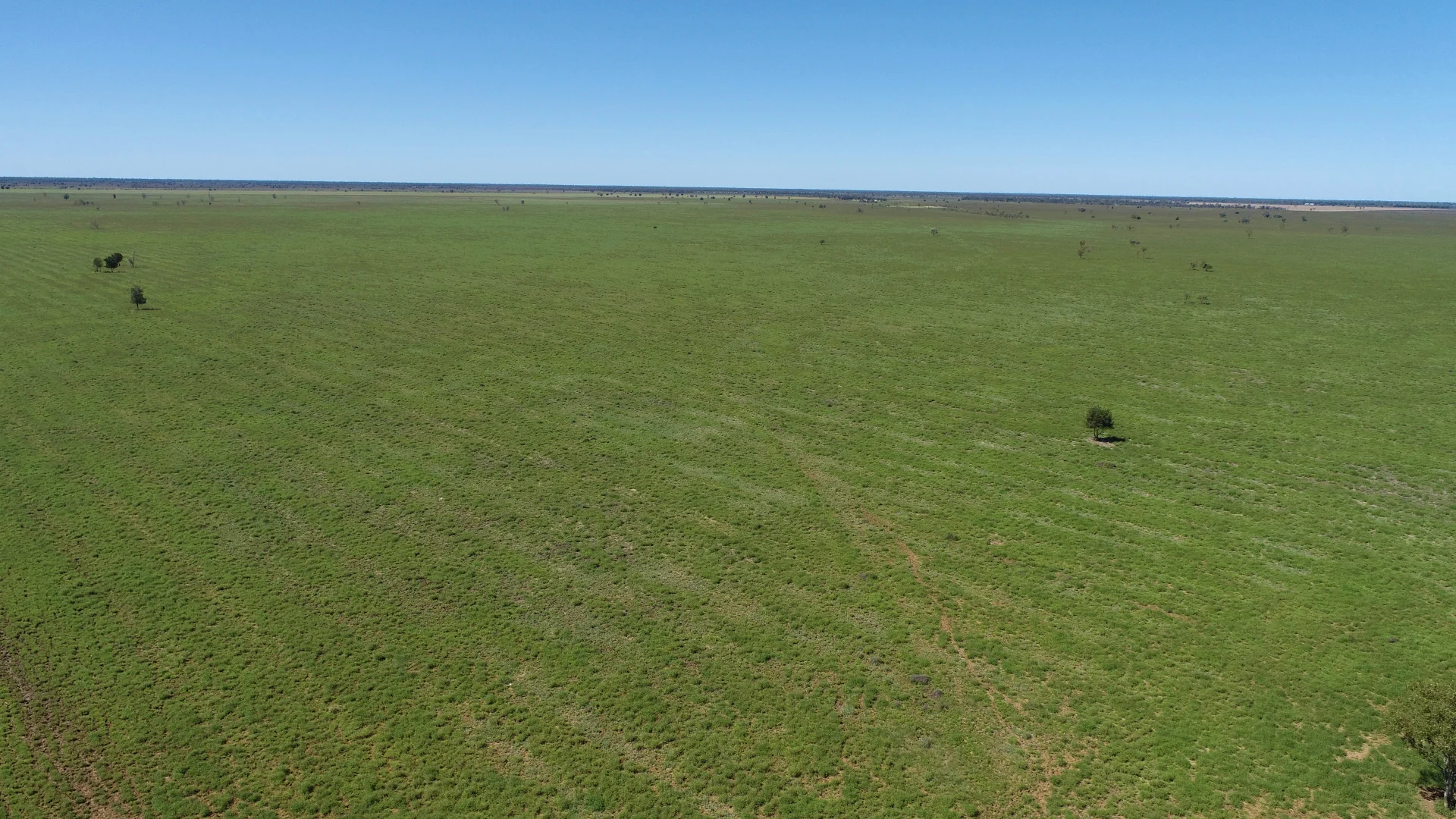 Additional image 3 of "Bonavista" 13724 Mitchell - St George road, Roma QLD 4455