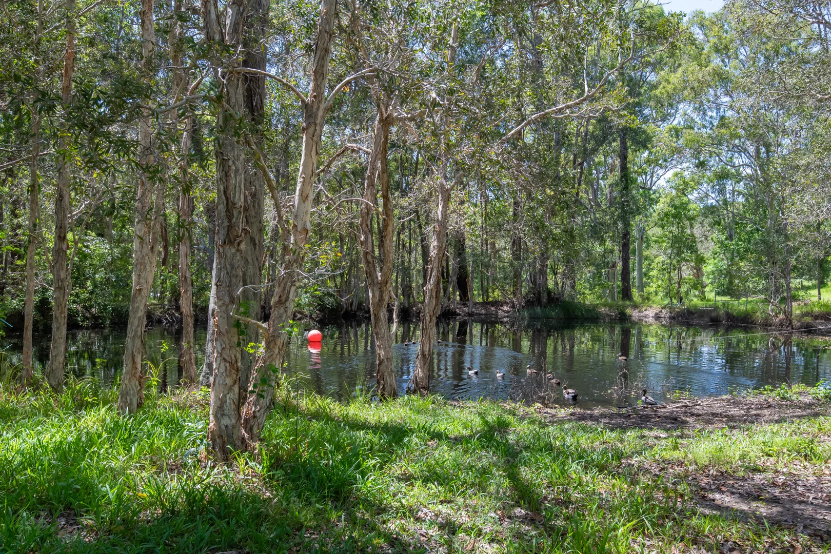 Additional image 25 of 31 Whitton Pl, Mullaway NSW 2456