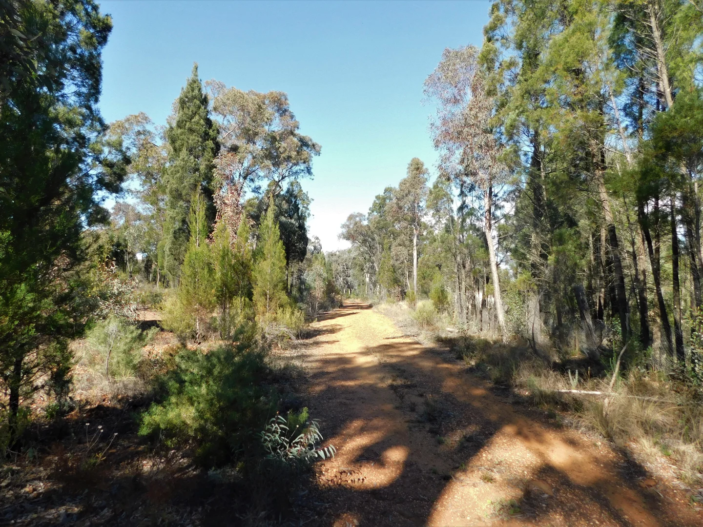 Additional image 7 of The Rock  212 Purlewaugh Road, Coonabarabran NSW 2357