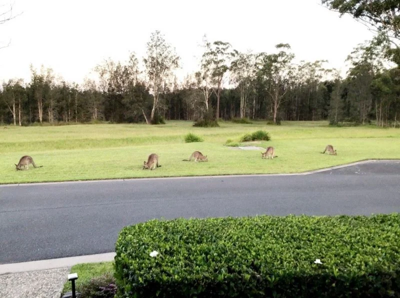 Additional image 10 of 108/11 Resort Road, Kew NSW 2439