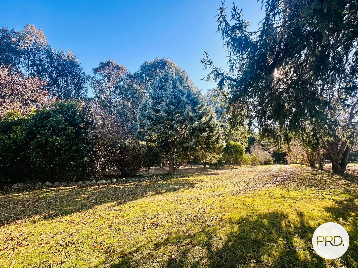 Additional image 42 of 233 Logans Road, Tumbarumba NSW 2653