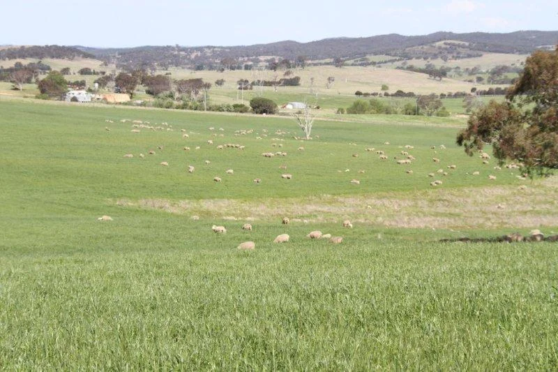 Additional image 9 of 3/83 Yass Valley Way, Manton NSW 2582