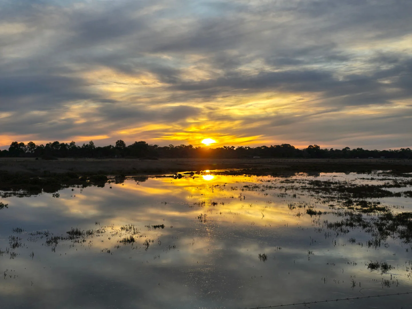 Additional image 6 of 111 CRAIGS LANE, Pearcedale VIC 3912