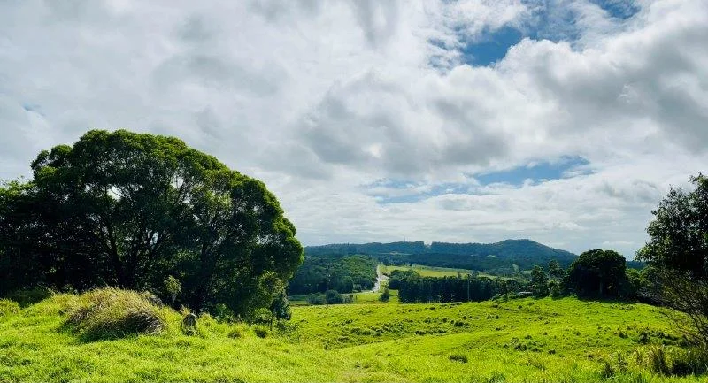 Additional image 31 of 1297 Mossman-Mount Molloy Road, Julatten QLD 4871