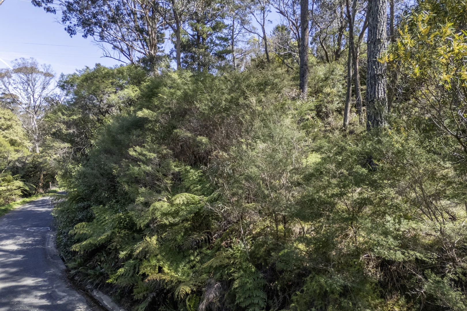 Additional image 4 of 53-55 Dell Street, Blackheath NSW 2785