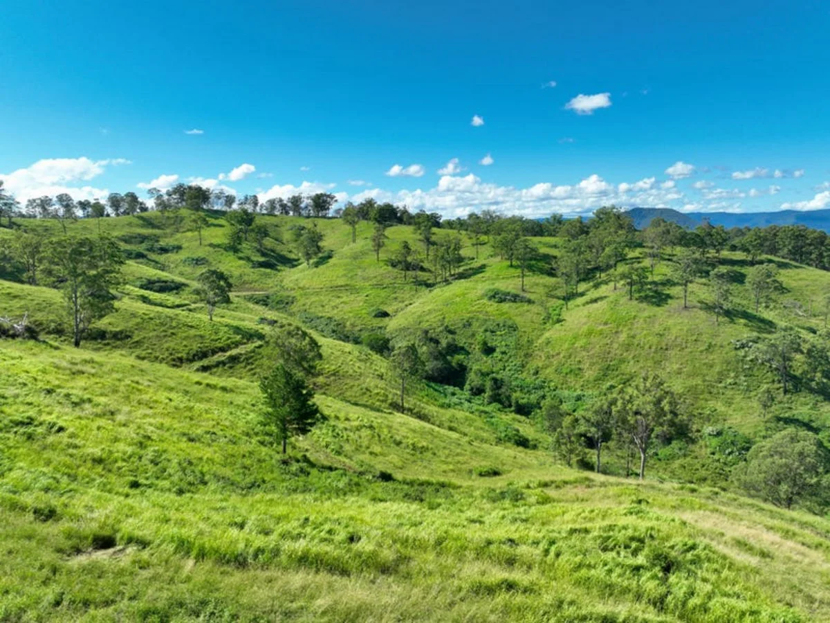 Additional image 5 of 59 Wyndham Road, Wyneden NSW 2474