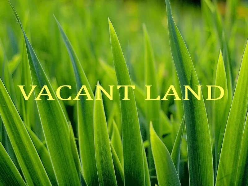 Additional image 16 of 20 Rodney Street, Rye VIC 3941