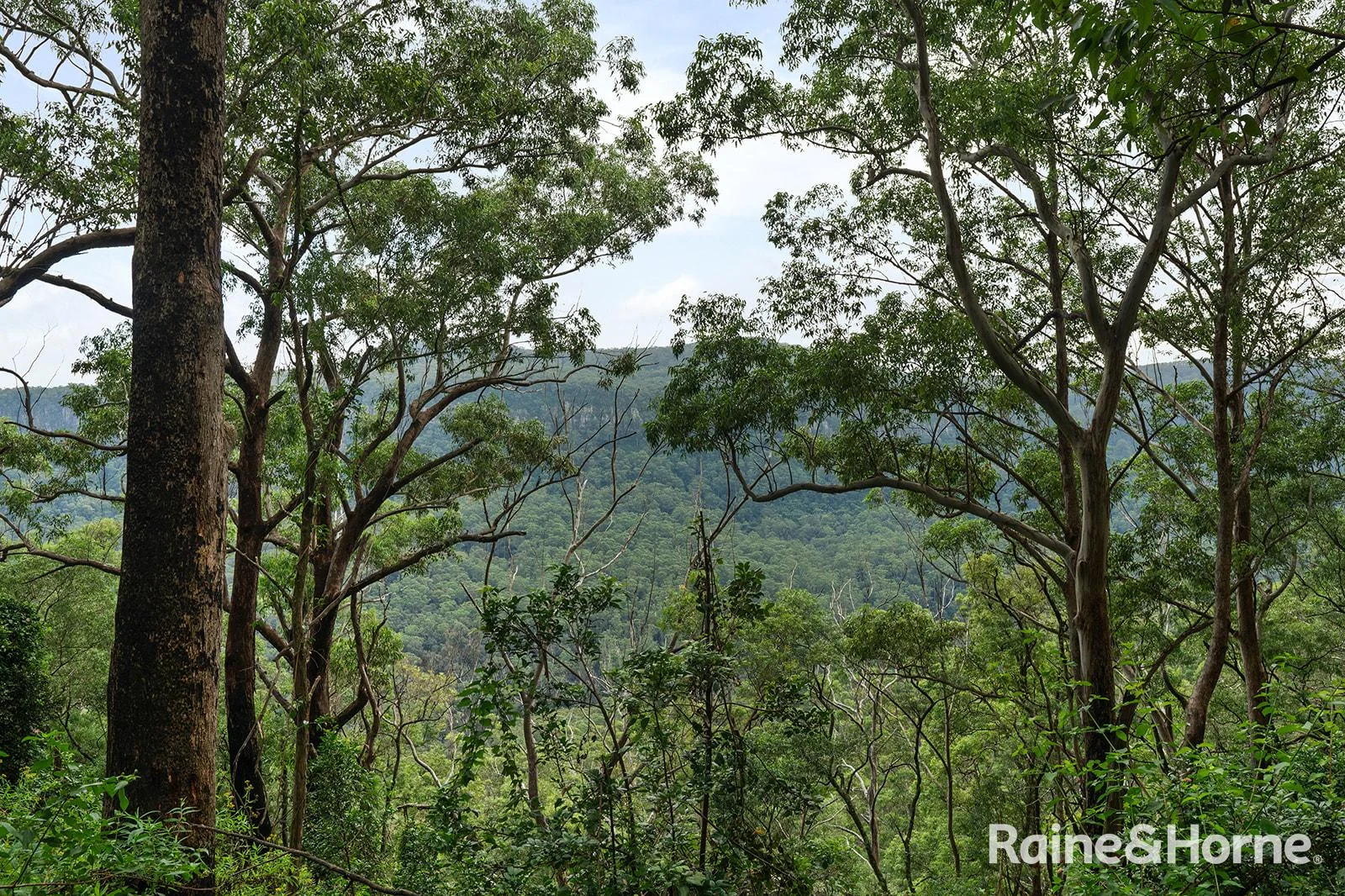 Additional image 23 of Lot 1 Selbys Road, Budgong NSW 2577