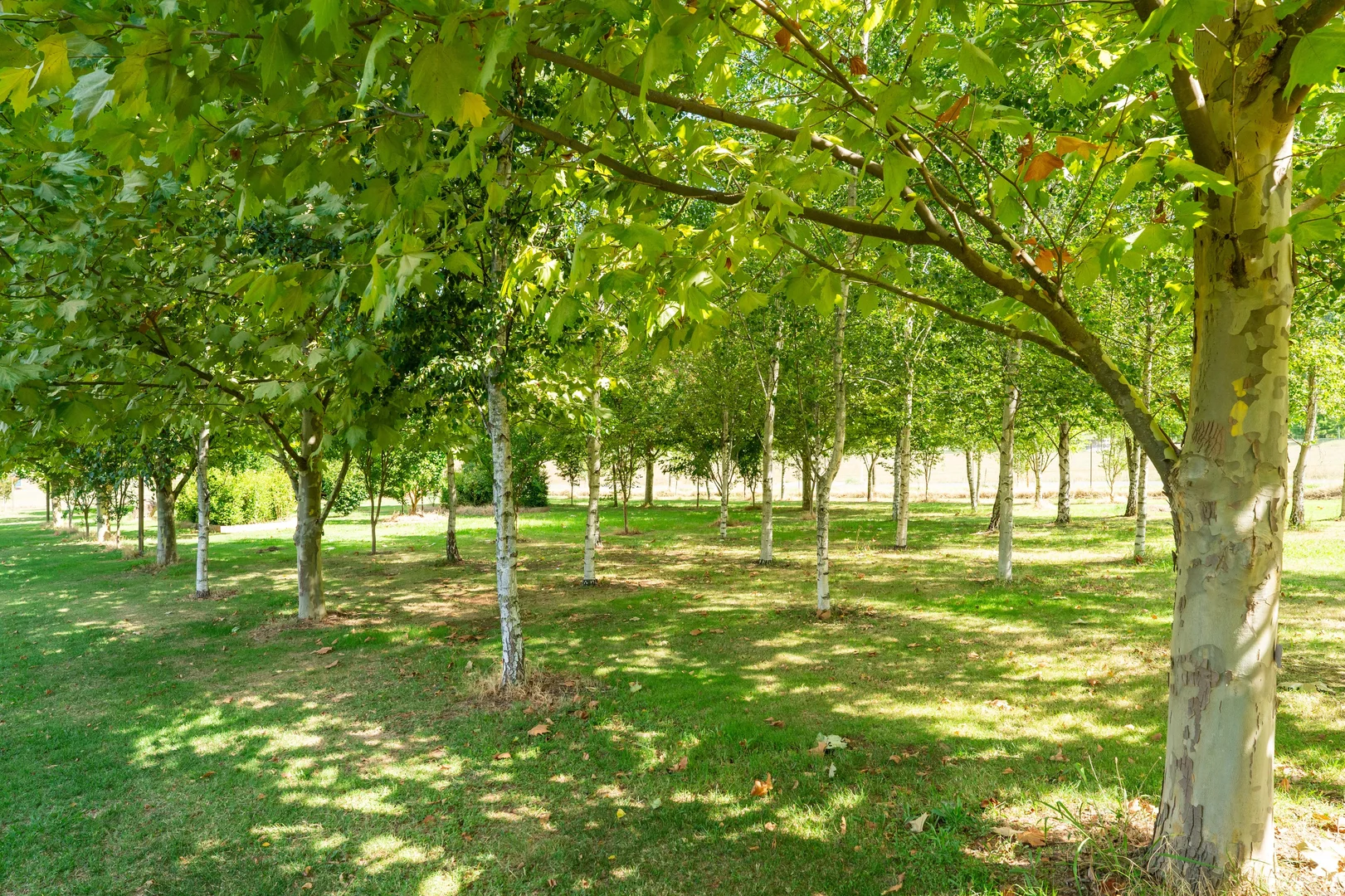 Additional image 27 of 217a Simmonds Creek Road, Tawonga South VIC 3698