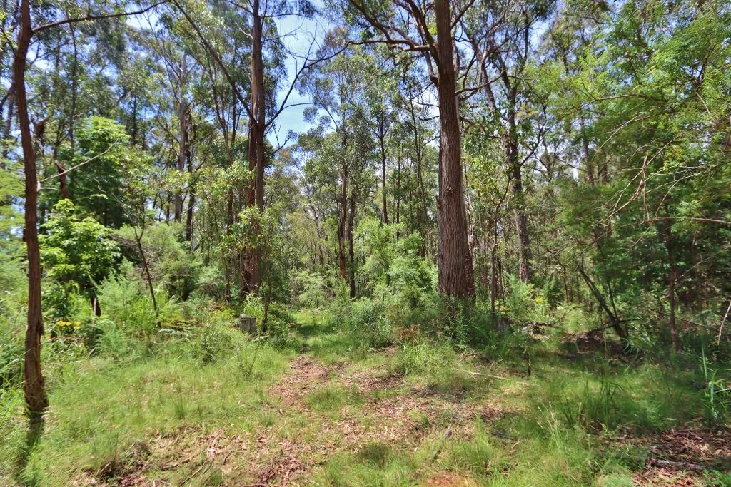 Additional image 2 of 2844 Mt Darragh Road, Wyndham NSW 2550