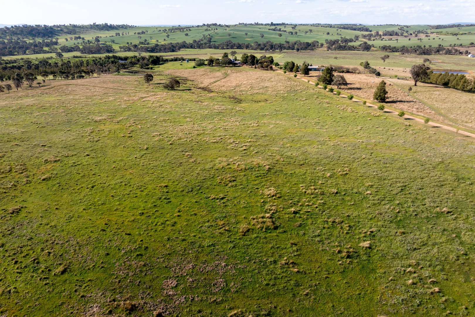 Additional image 33 of 251 Pattersons Lane, Young NSW 2594