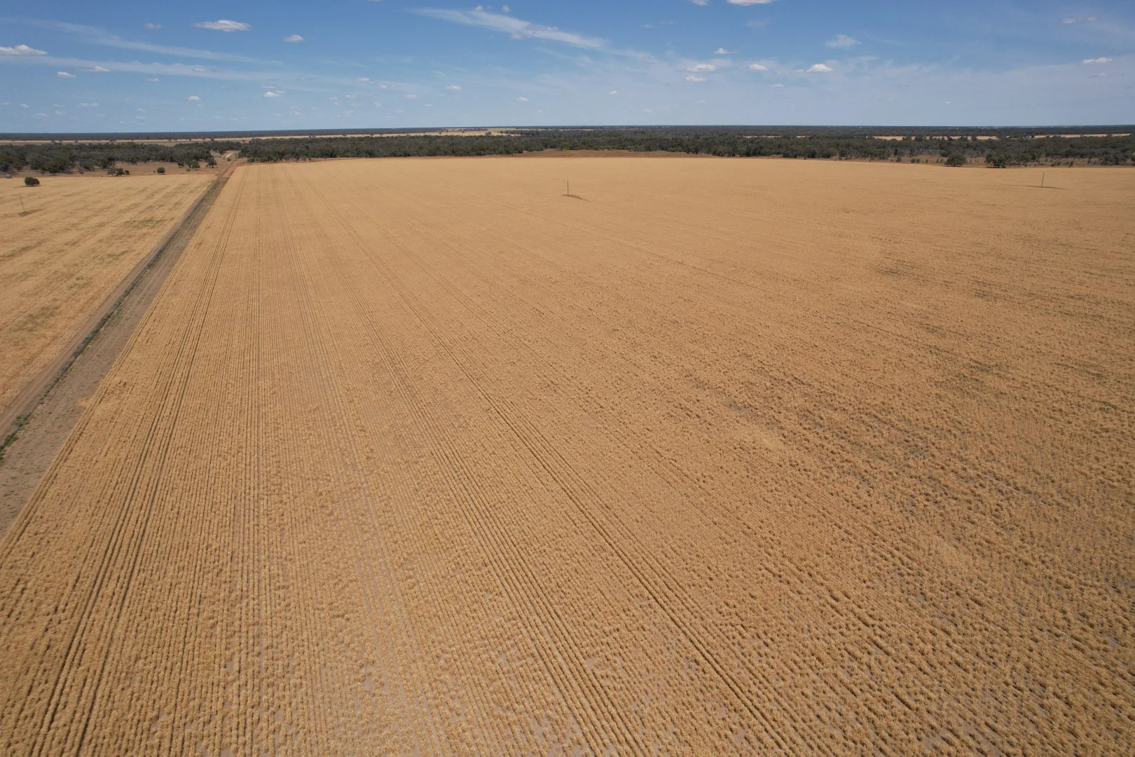 Additional image 6 of 3282 Gungalman Road, Carinda NSW 2831