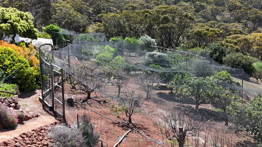 Additional image 52 of 9 Morris Edwards Drive, York WA 6302