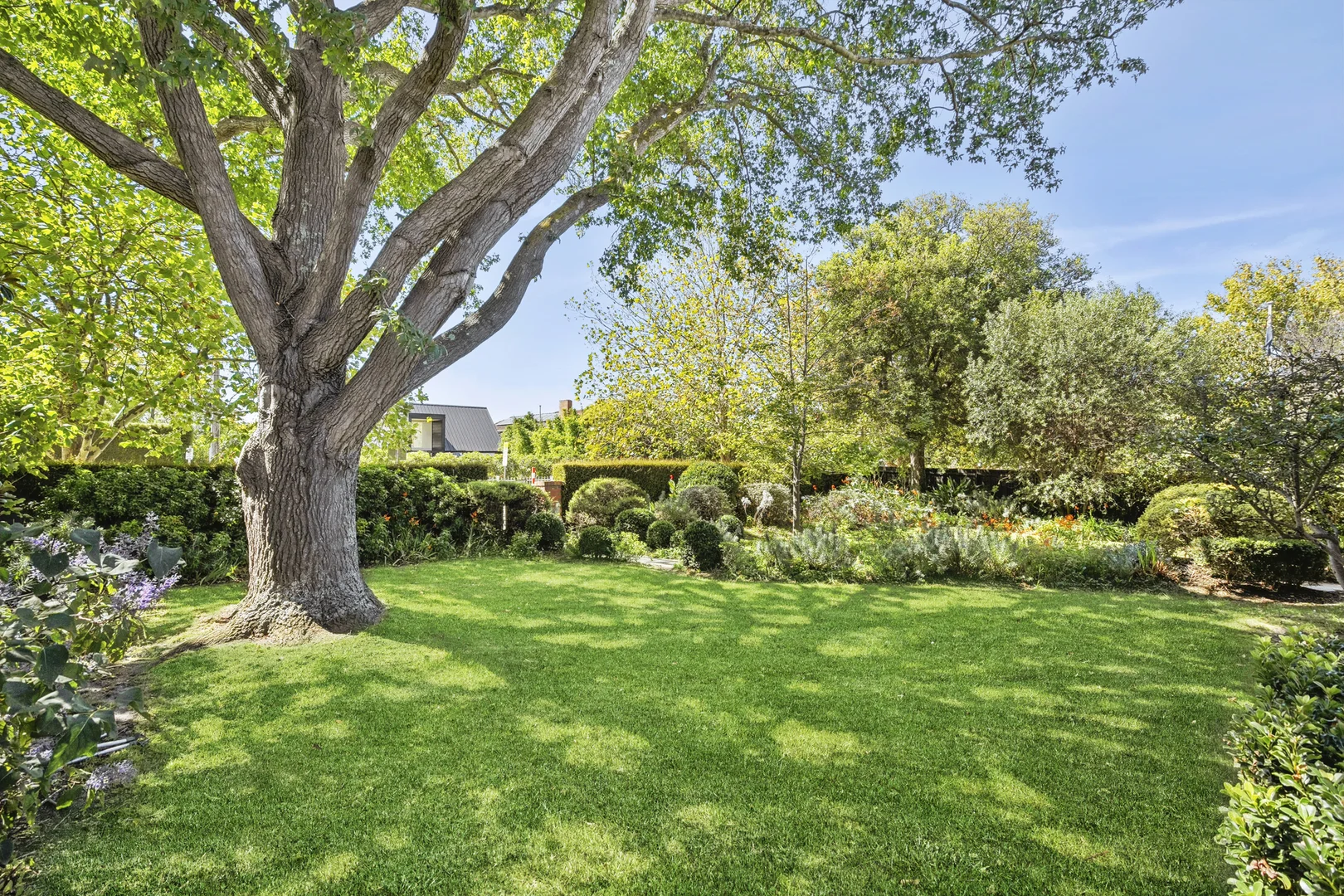 Additional image 21 of 141 Noble Street, Newtown VIC 3220