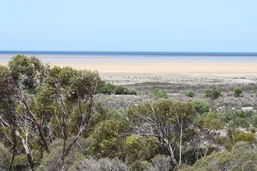 Additional image 2 of Section 6 Old Telegraph Road, Midgee SA 5602