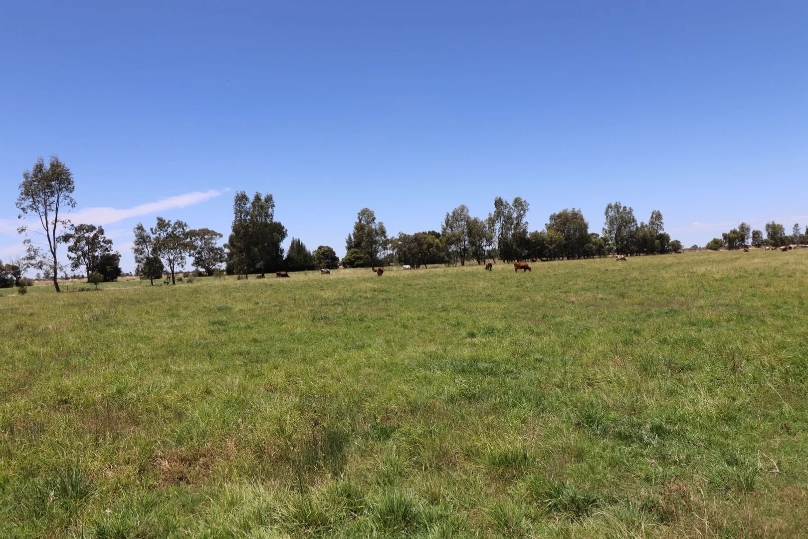 Additional image 19 of 1899 Leitchville-Kerang Road, Macorna North VIC 3568